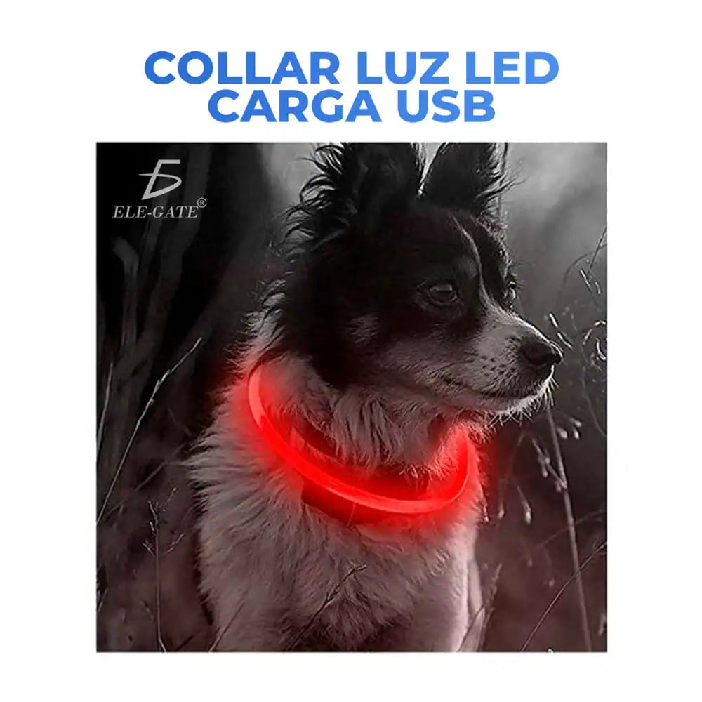 COLLAR LED AJUSTABLE