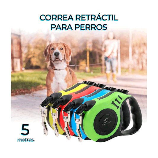 CORREA RETRACTIL 5M, VARIEDAD DE COLORES